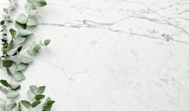 Flat lay of eucalyptus branches on a marble surface with ample copyspace.